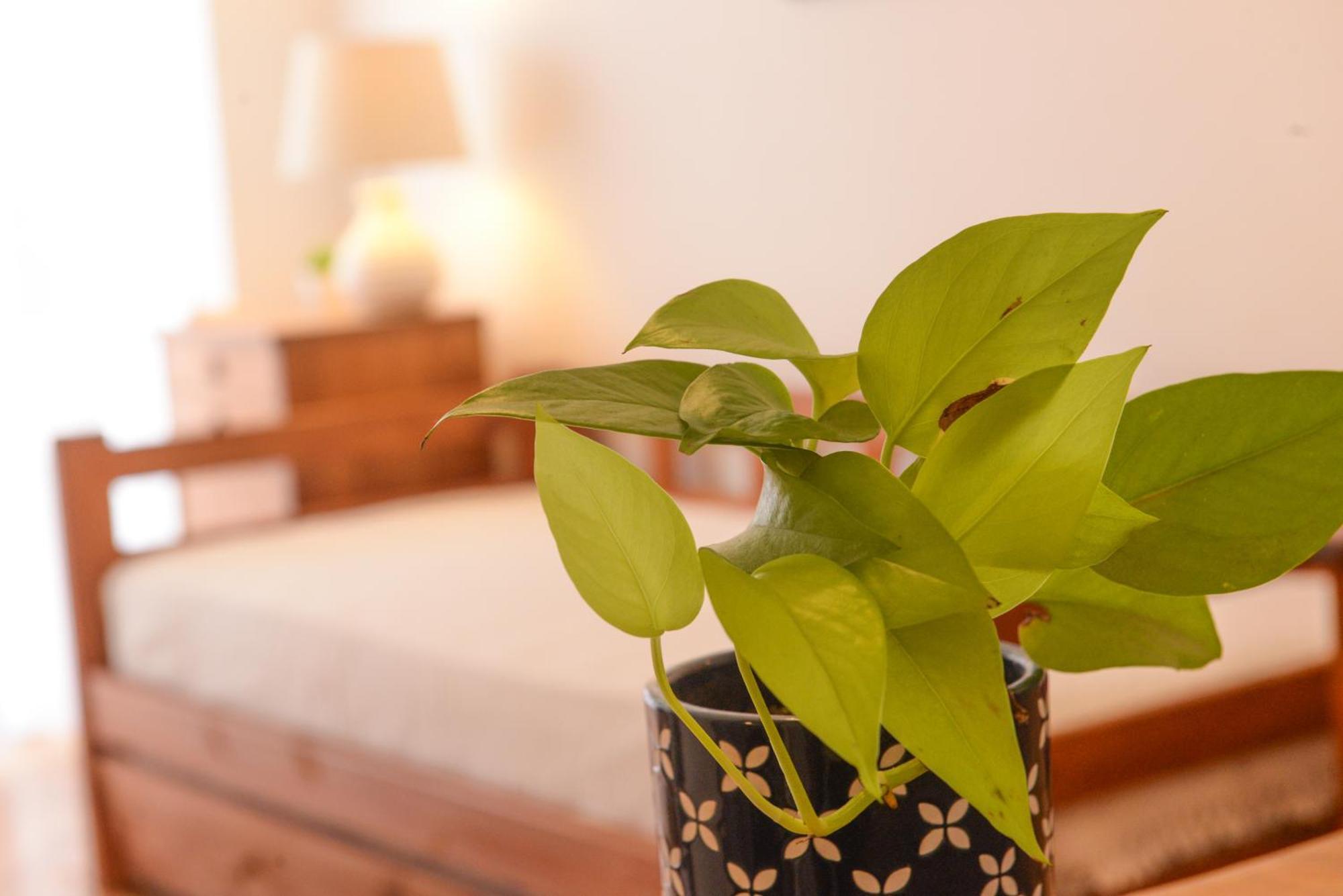 Imperdible En Palermo Botanico La Rural Seguridad 24Hs Apartman Buenos Aires Kültér fotó